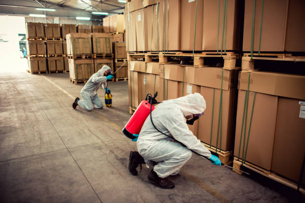 Best Affordable Pest Control Services  in Canyon, TX