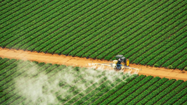 Best Commercial Pest Control Services  in Canyon, TX