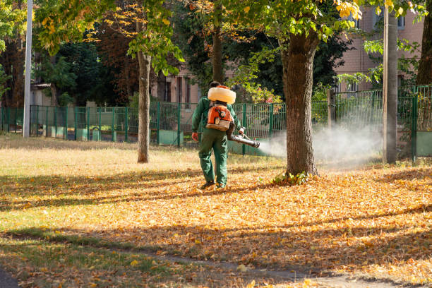 Best Termite Control Services  in Canyon, TX